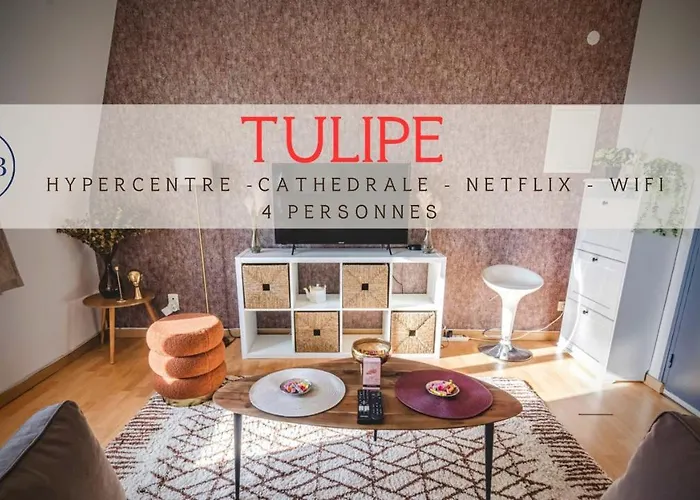 Au Coeur De Reims - Tulipe